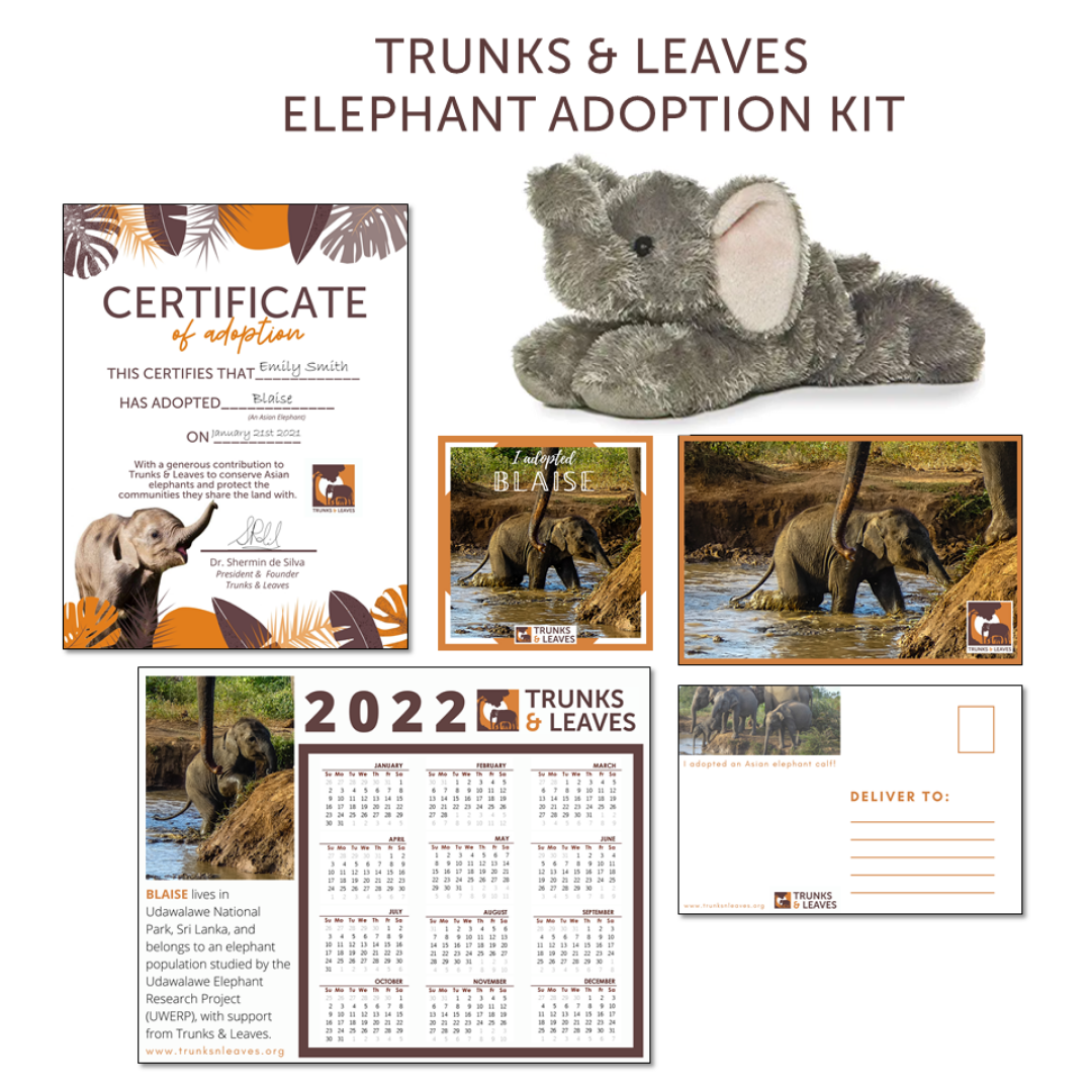 Asian Elephant Adoption Kit contents
